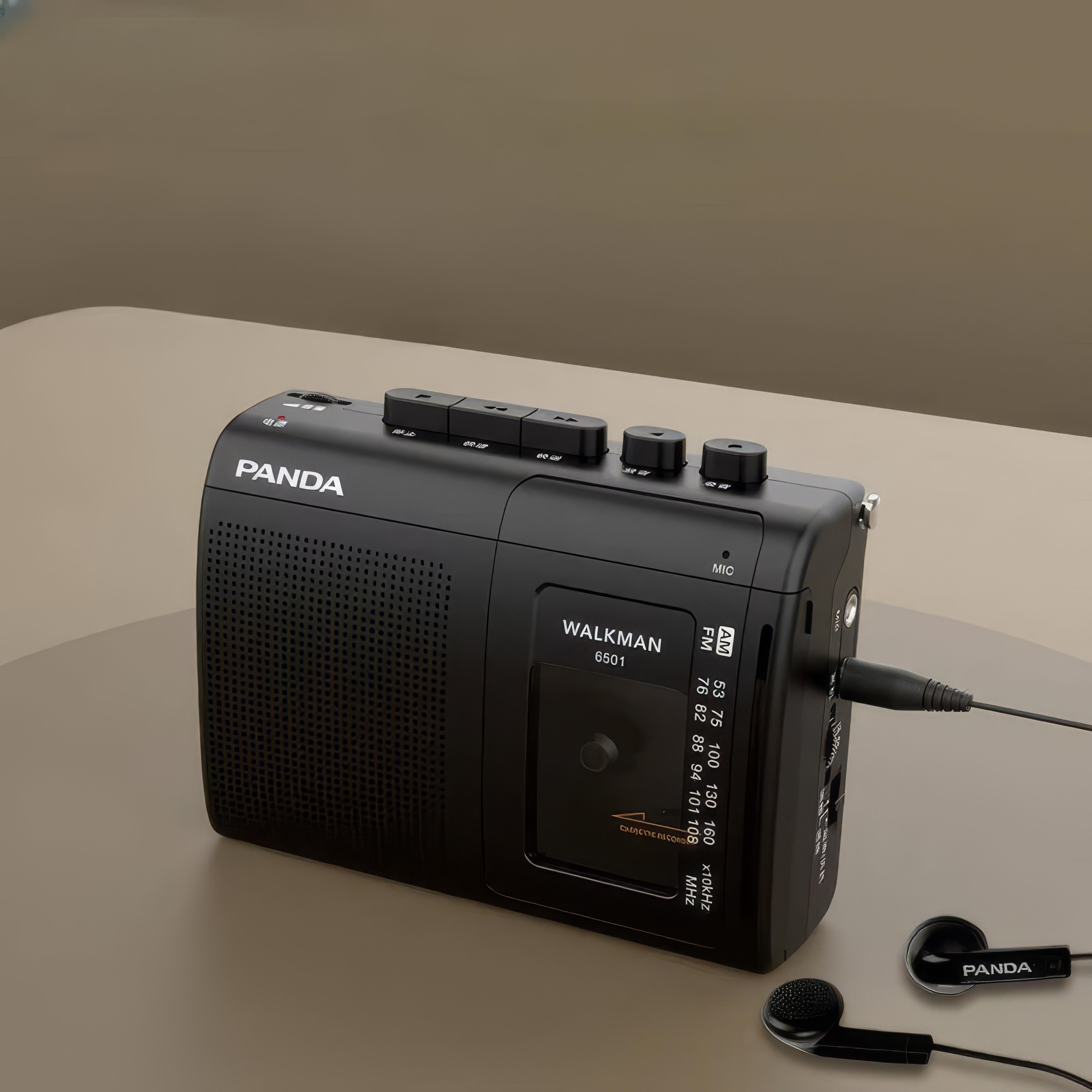 Panda - Draagbare cassettenrecorder met AM/FM Radio en dual-power