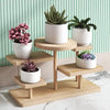 Houten Rek 5-laags van Massief Hout voor Organisatie van Cosmetica en Planten 0