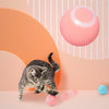 Activia™ speelbal voor katten